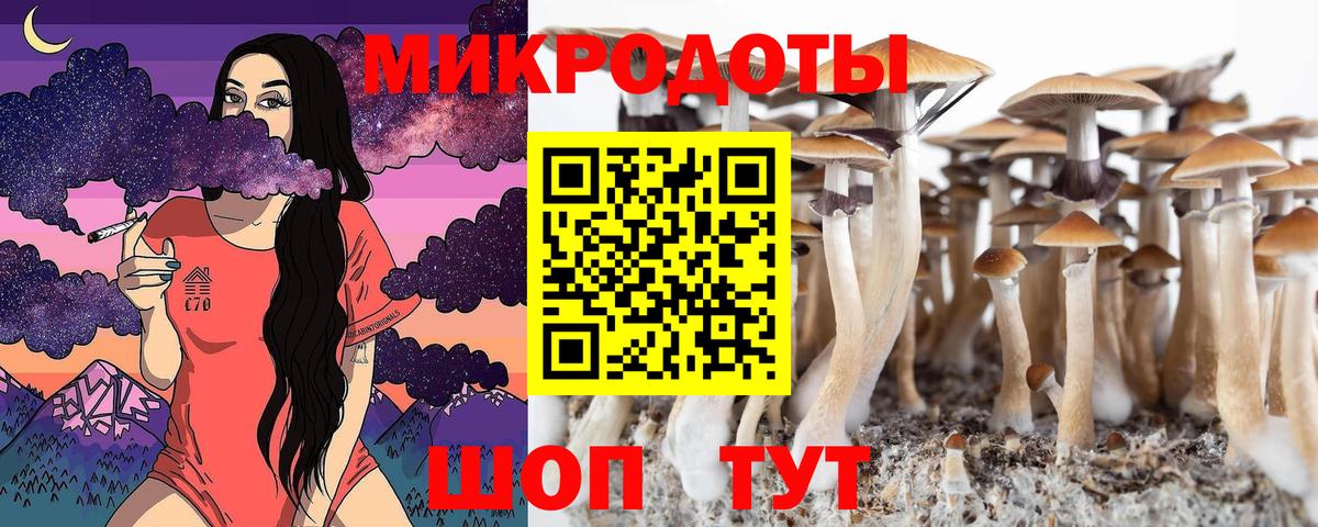 Галлюциногенные грибы Psilocybe Ялуторовск