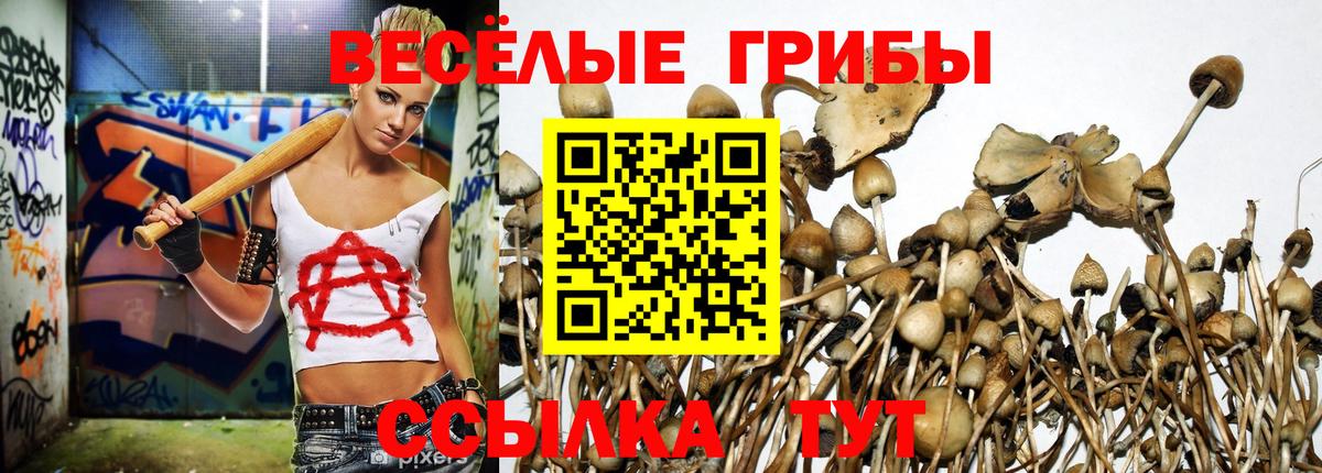 магазин продажи наркотиков  Псилоцибиновые грибы мухоморы  Вход с VPN  Псилоцибиновые грибы прущие грибы  Ялуторовск 